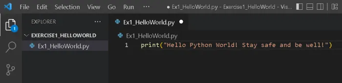 VS Code editor with a new Python file open and code being entered in the editor pane