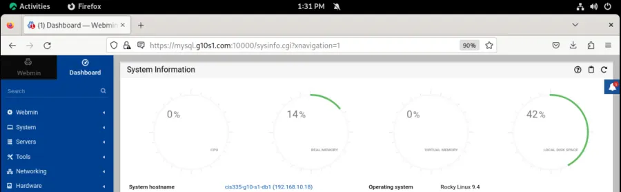 Browser showing WordPress page loading via DNS hostname entry confirming Windows Server DNS role is working
