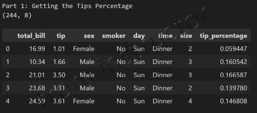 Expected output: tips.csv DataFrame with tip_percentage column added after data wrangling
